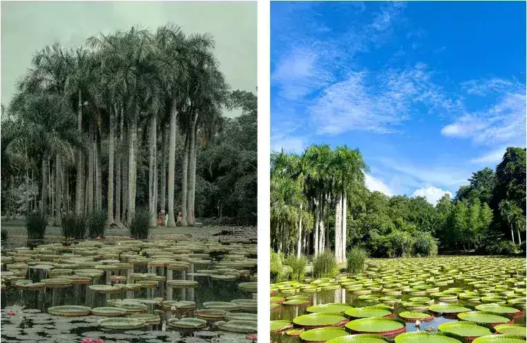 五一拼假9天，怎么玩？完美小众旅行目的地帮你安排好了！狼子野心藏不住，一直在“扮猪吃老虎”的赵丽颖终于暴露了(图43)