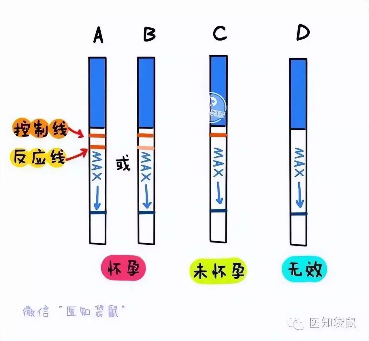 干货满满（验孕棒假怀孕原理）验孕棒假孕有几种情况 第8张