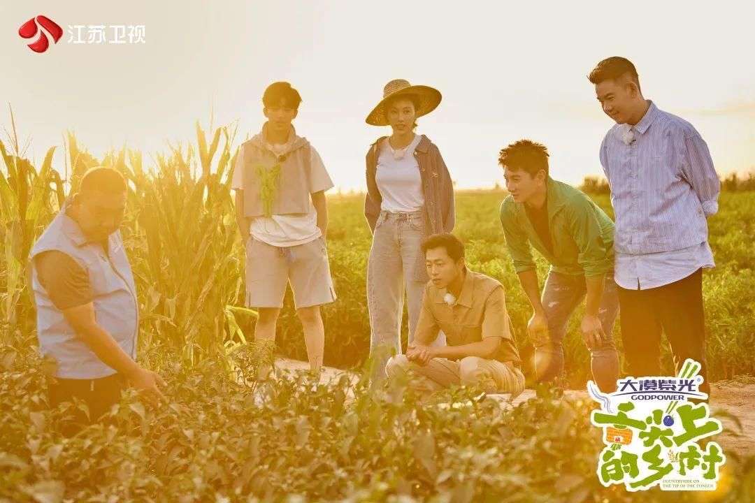 《舌尖上的乡村》圆满收官！探寻食材背后故事，展现乡村人文底色