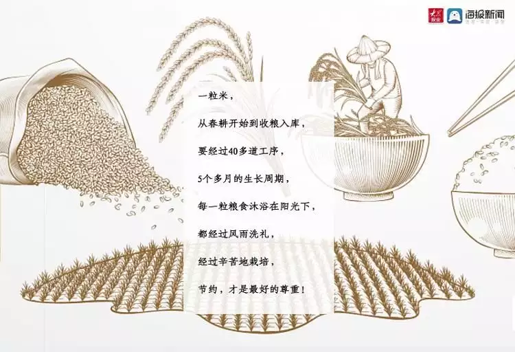 世界粮食日丨一粒米要闯多少关，才能成为盘中餐？
