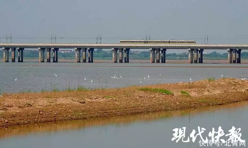 石臼湖“网红草海”、鄱阳湖落星墩提前“露脸”，长江流域这些湖泊还好吗？唐僧念的紧箍咒究竟是啥？翻译成中文只有6个字，换作你也头疼