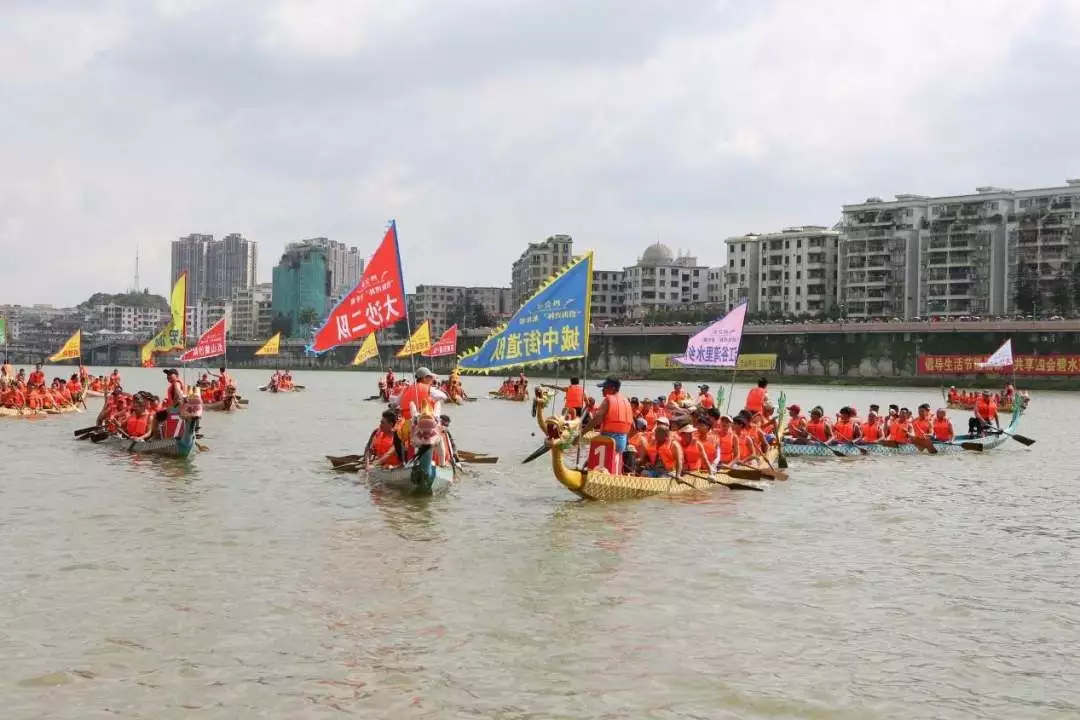 广东四会：龙舟竞渡，奋楫争先