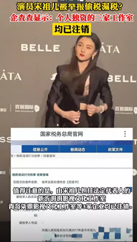 回顾:彻底塌房?宋陈慧娴被实名制举报偷税4500w,目前公司已注销中学生题目《鸡的名字》爆红,家长看后充耳不闻,谁想多了我不说(图7) 回顾:彻底塌房?宋陈慧娴被实名制举报偷税4500w,目前公司已注销中学生题目《鸡的名字》爆红,家长看后充耳不闻,谁想多了我不说(图7)