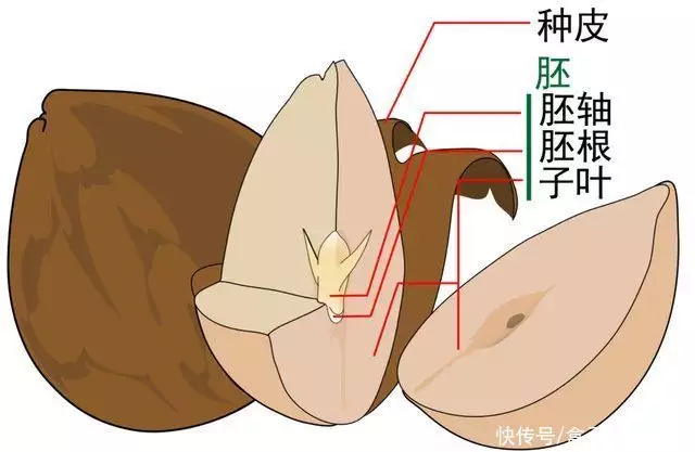 古诗名句励志（古诗词名句励志四字成语） 第2张