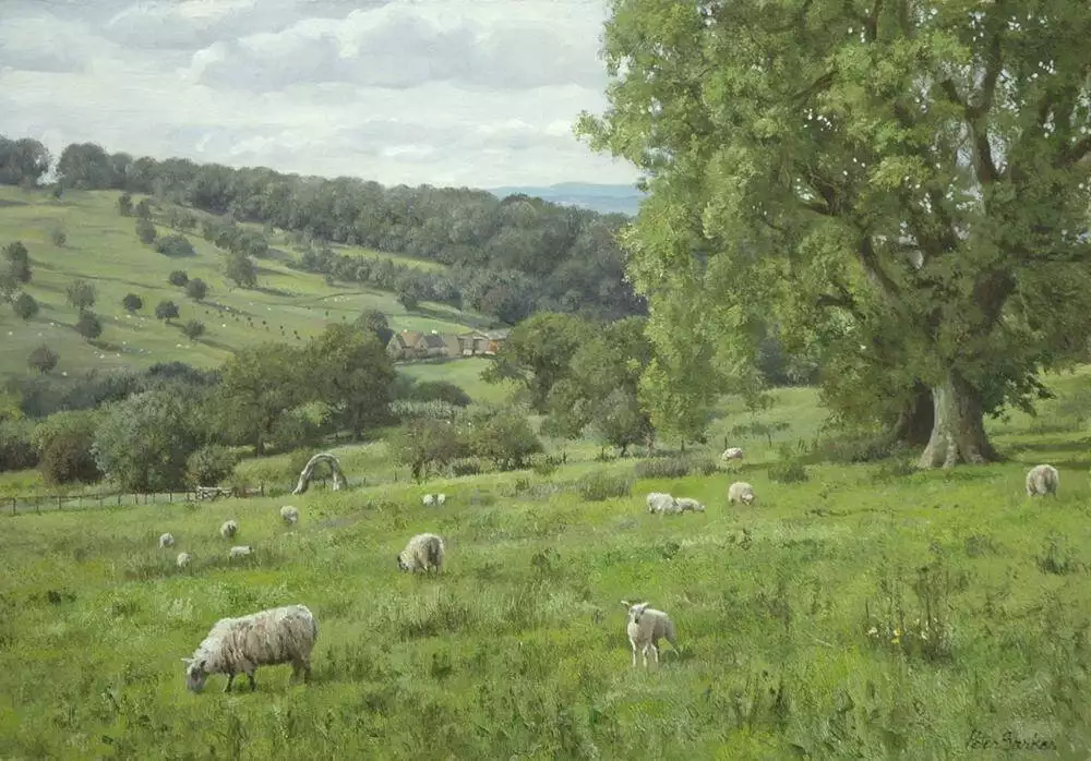 一组祥和的田园风光,安静美好︱英国画家彼得·巴克的绘画作品农村老人称潜山坟头的“打碗花”不祥之兆，这背后的故事怎么回事？(图41)