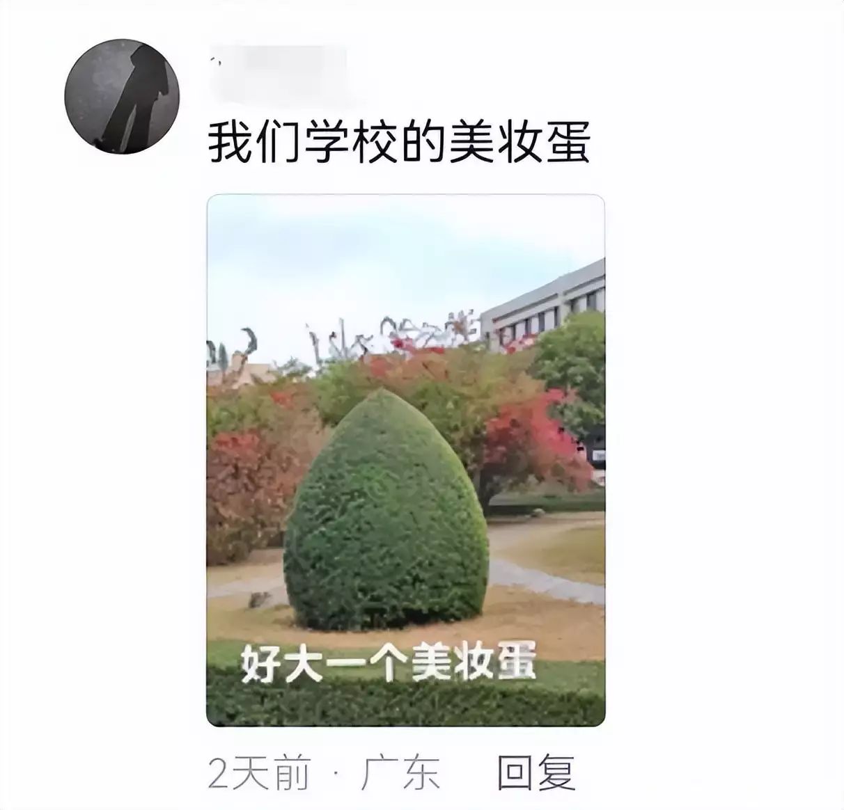 笑树（笑树的真实笑声） 第4张