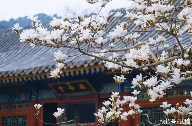 天下风物——《【抬头是方向，低头是清醒（深刻）】诗韵咏合》风光题照