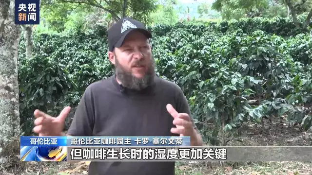 哥伦比亚咖啡（哥伦比亚咖啡和越南咖啡） 第1张