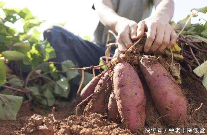 梦境的馈赠，解析梦见我把红薯给别人了的深层含义