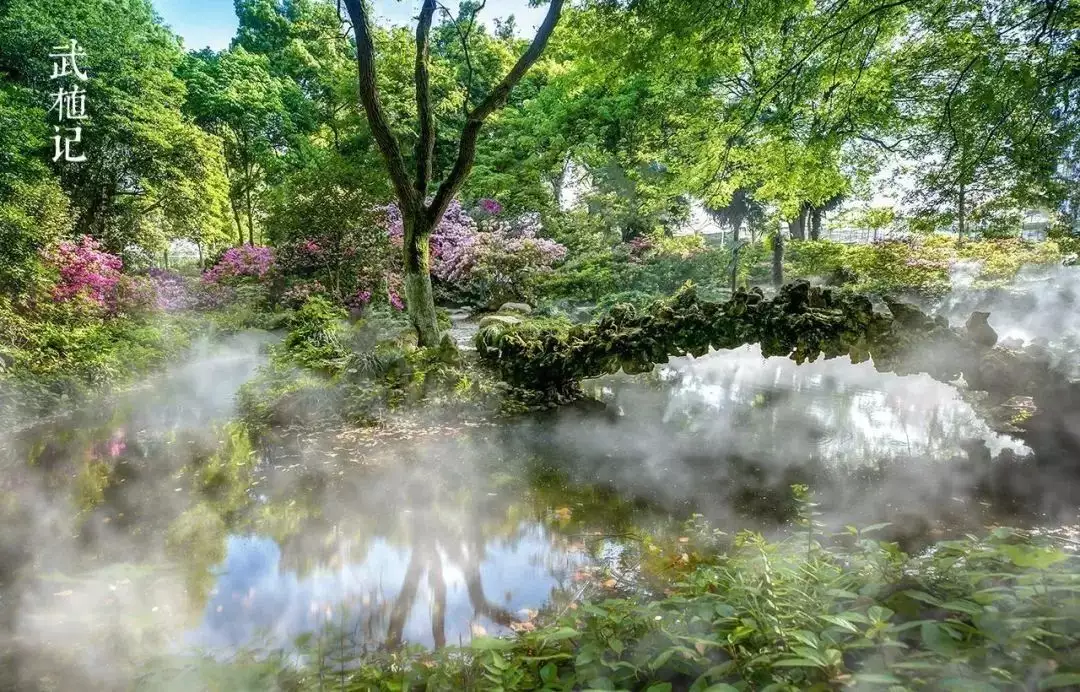 踯躅花（踯躅花开红照水,鹧鸪飞绕青山觜） 第30张