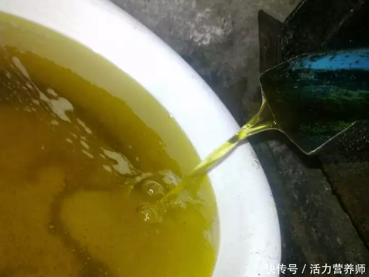 茶油树（茶油树种植每亩需多少成本） 第5张