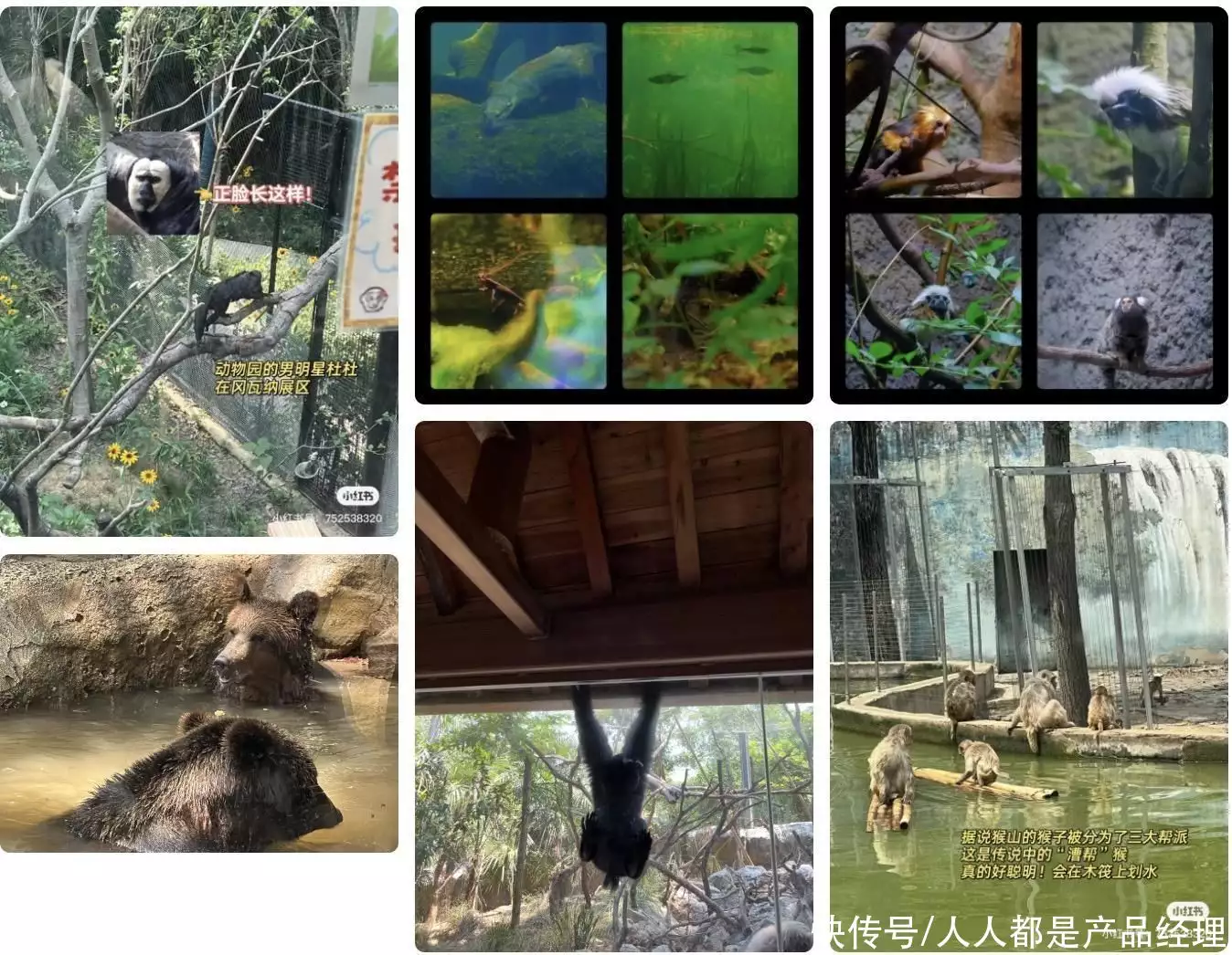 红山动物园游记-传统商业中经营观察回顾：世界上“诡异”的3座佛像，一座在日本，另外2座都在中国