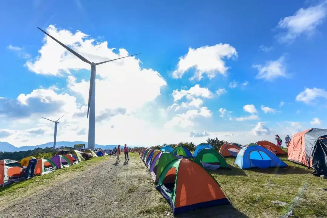 红瘦指什么花（李清照中的知否知否应是绿肥红瘦这里的红瘦是指） 第28张