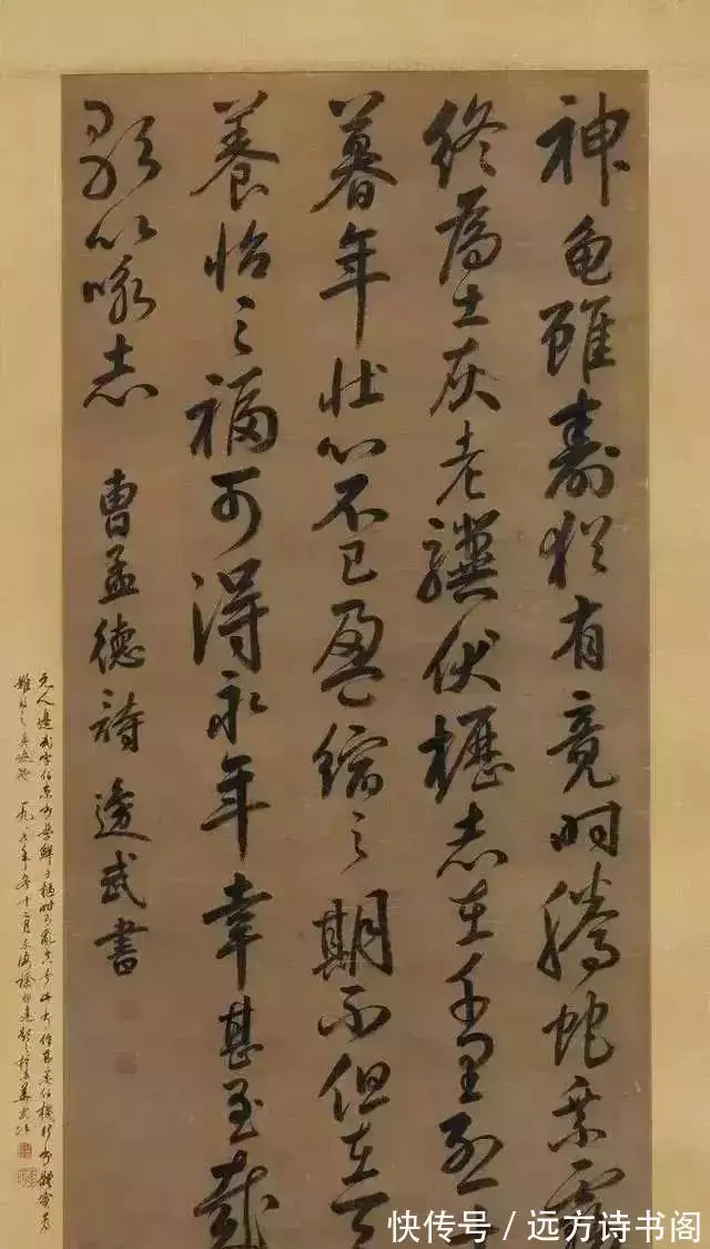 学会了吗（龟虽寿）龟虽寿曹操 原文 第1张