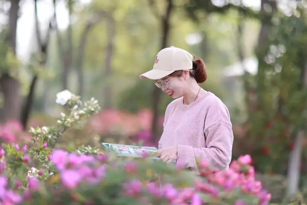 踯躅花（踯躅花怎么读） 第9张