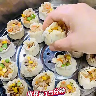 烧卖（烧麦皮和饺子皮一样吗） 第9张