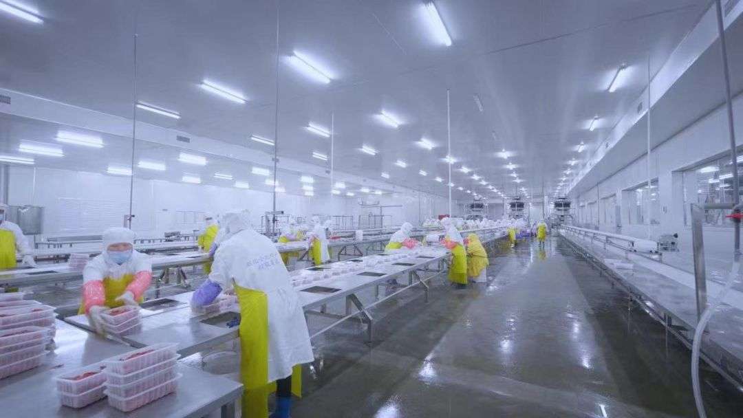 江南观察让预制菜变明白菜江苏应加快“出经验”(图1)