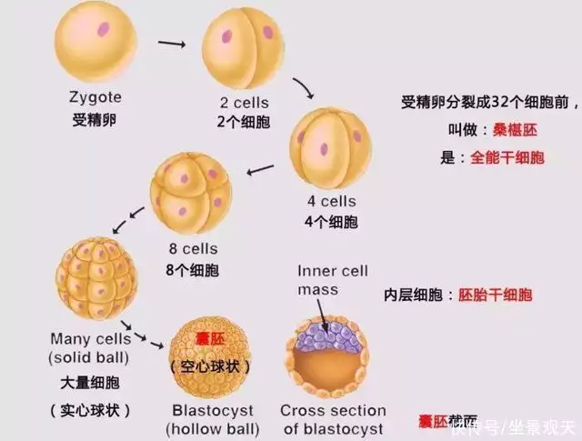 世界上最变态的人（世界上谁最变态?） 第7张