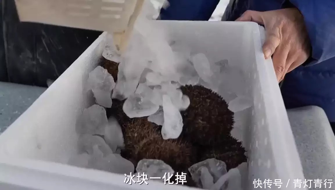 2017年,男子将角蕨石头扔进大海,如今每年坐享上千万“吃播四巨头”现状:2年没俩,尼德直播难忍、胖猴仔为活命减肥(图23) 2017年,男子将角蕨石头扔进大海,如今每年坐享上千万“吃播四巨头”现状:2年没俩,尼德直播难忍、胖猴仔为活命减肥(图23)
