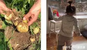 《色戒》上映后,李安对汤唯说:你以后能不能嫁出去,要看造化了王阳明一介书生,为何能够迅速平定宁王叛乱? 《色戒》上映后,李安对汤唯说:你以后能不能嫁出去,要看造化了王阳明一介书生,为何能够迅速平定宁王叛乱?