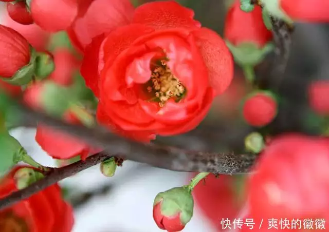 珍惜所有不期而遇，看淡所有不辞而别（深度好文）