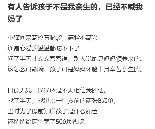 这都可以（怀孕仿造假单子）造假怀孕单子 第15张