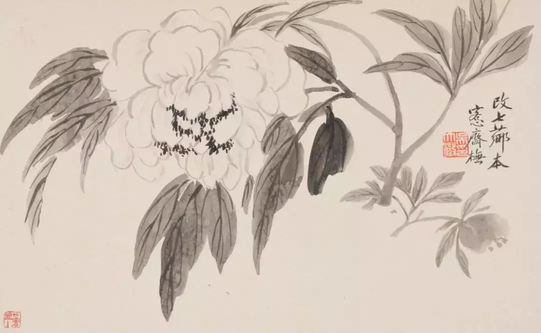 吴湖帆的爷爷，花卉画得如此好！亲爹给我起的名字，才上学3天就被同桌打了9回！女同学都躲着我