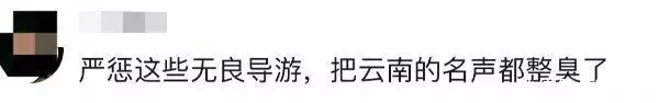 导游辱骂游客“一分钱没花，老臭流氓”，网友怒了！官方回应