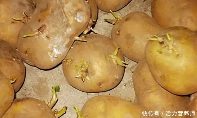 土豆怎么做好吃 （土豆怎么做好吃小孩爱吃的菜谱） 第3张