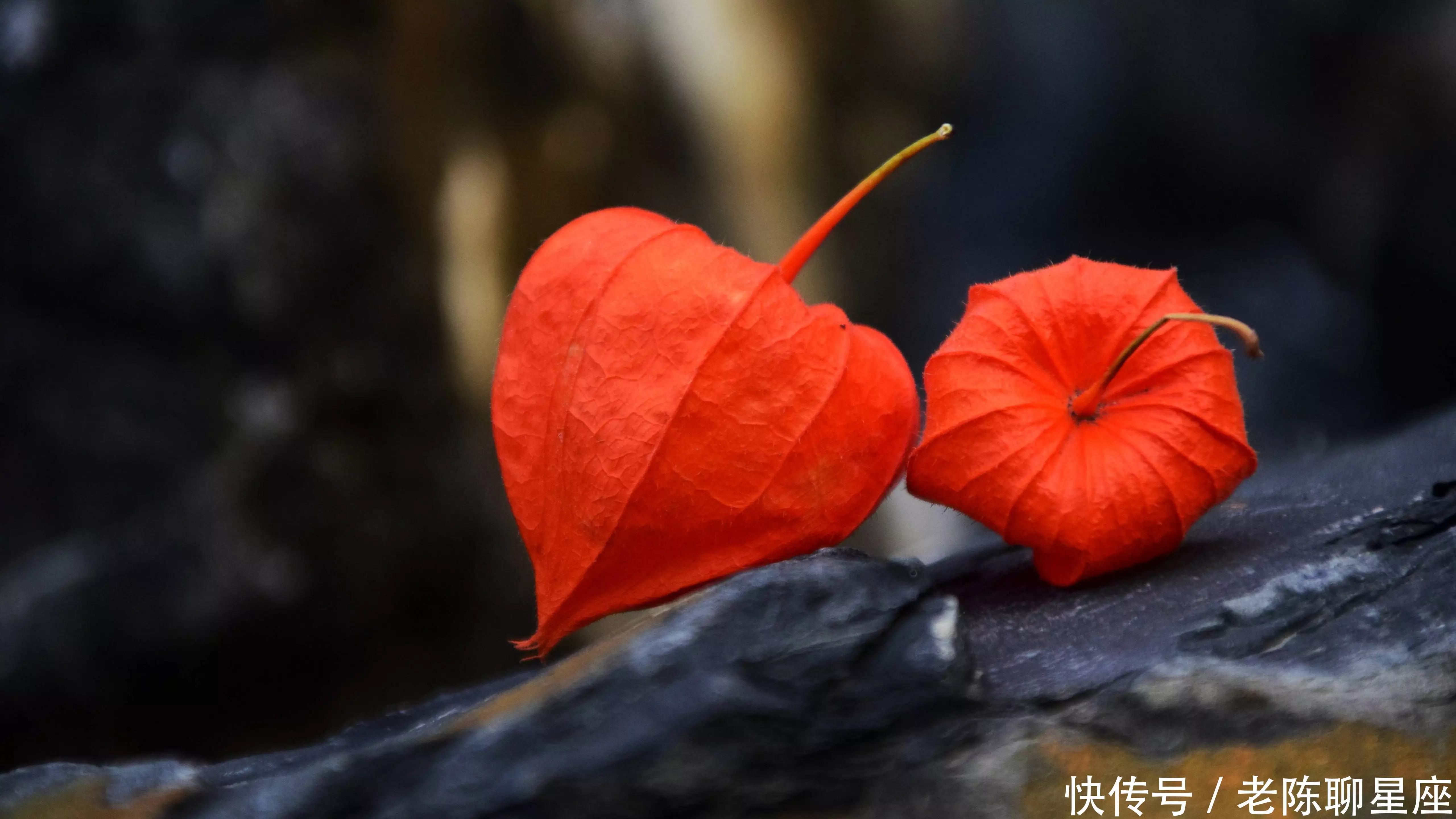 速看（哪几个星座今天运势）什么星座今天运势，过了今天，这四大星座的运势旺盛，能掌控自己的命运，无惧风雨杨丽萍为了艺术真是拼了，衣服竟是画的，身上的纹路清晰，三上悠亚第一部，讲座下载，