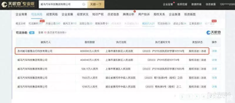 天眼查司法协助股权冻结是什么意思（天眼查显示公司已监控是什么意思） 第3张