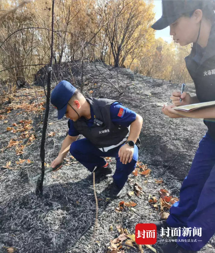 没想到（草木染申请非遗）草木染的优点 第6张