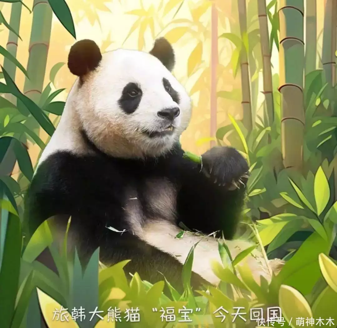 熊猫福宝韩国饲养员装哭惹群嘲,两个摄像师跟拍特写,比韩剧还假攻破50年导弹难题,山东女子造出天眼导弹,一己之力助中国崛起 熊猫福宝韩国饲养员装哭惹群嘲,两个摄像师跟拍特写,比韩剧还假攻破50年导弹难题,山东女子造出天眼导弹,一己之力助中国崛起