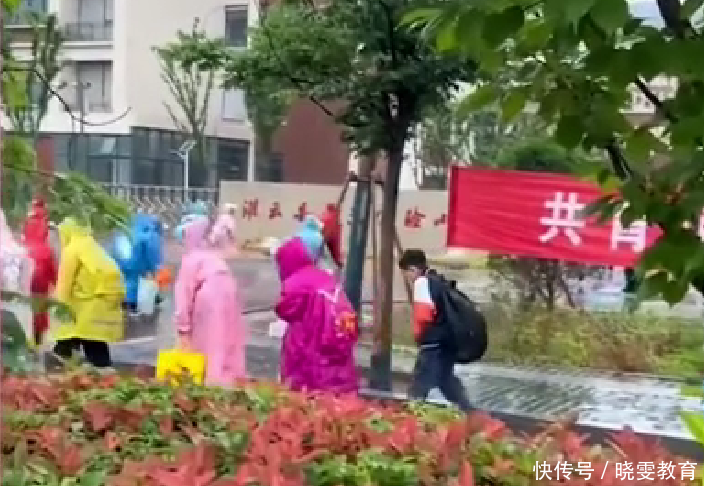 小学雨天不让打伞进校?校方解释“为了安全”,网友态度一反常态_【快资讯】