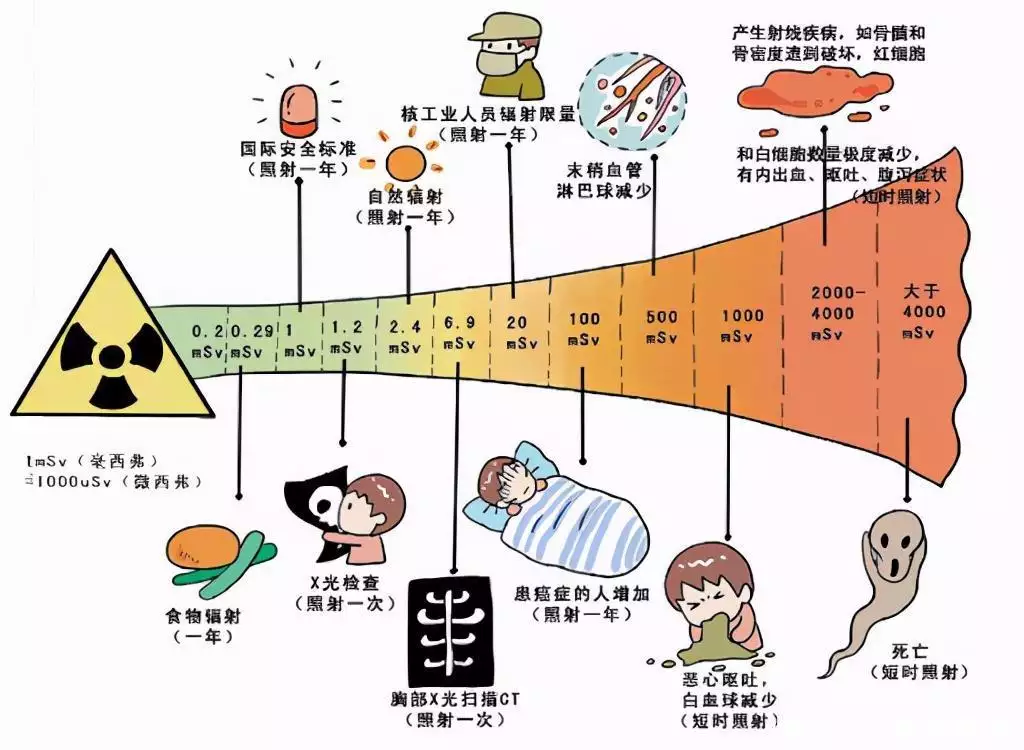 秋天的树（秋天的树图片景色大图） 第9张