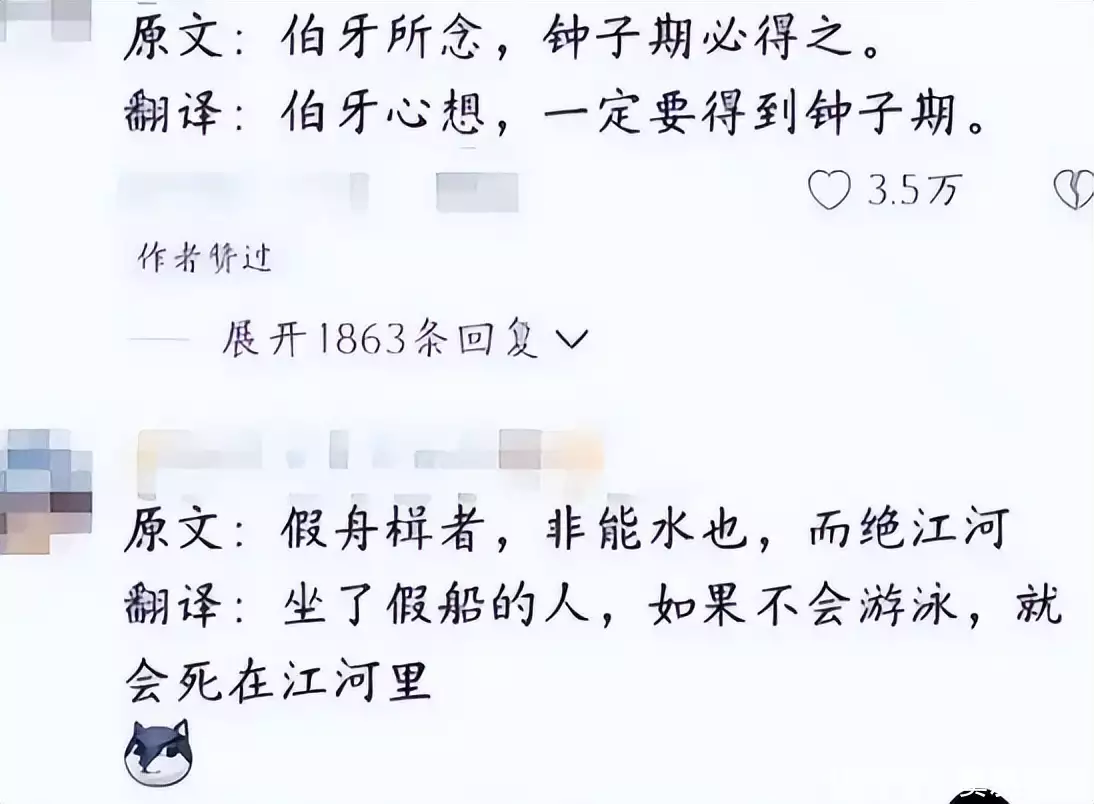 文言文中的意思（文言文中的适什么意思） 第2张