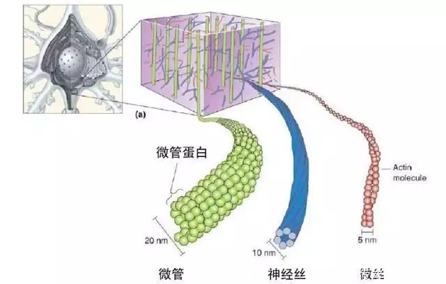 人死前3天灵魂已走（人临死前灵魂会到处跑吗） 第12张