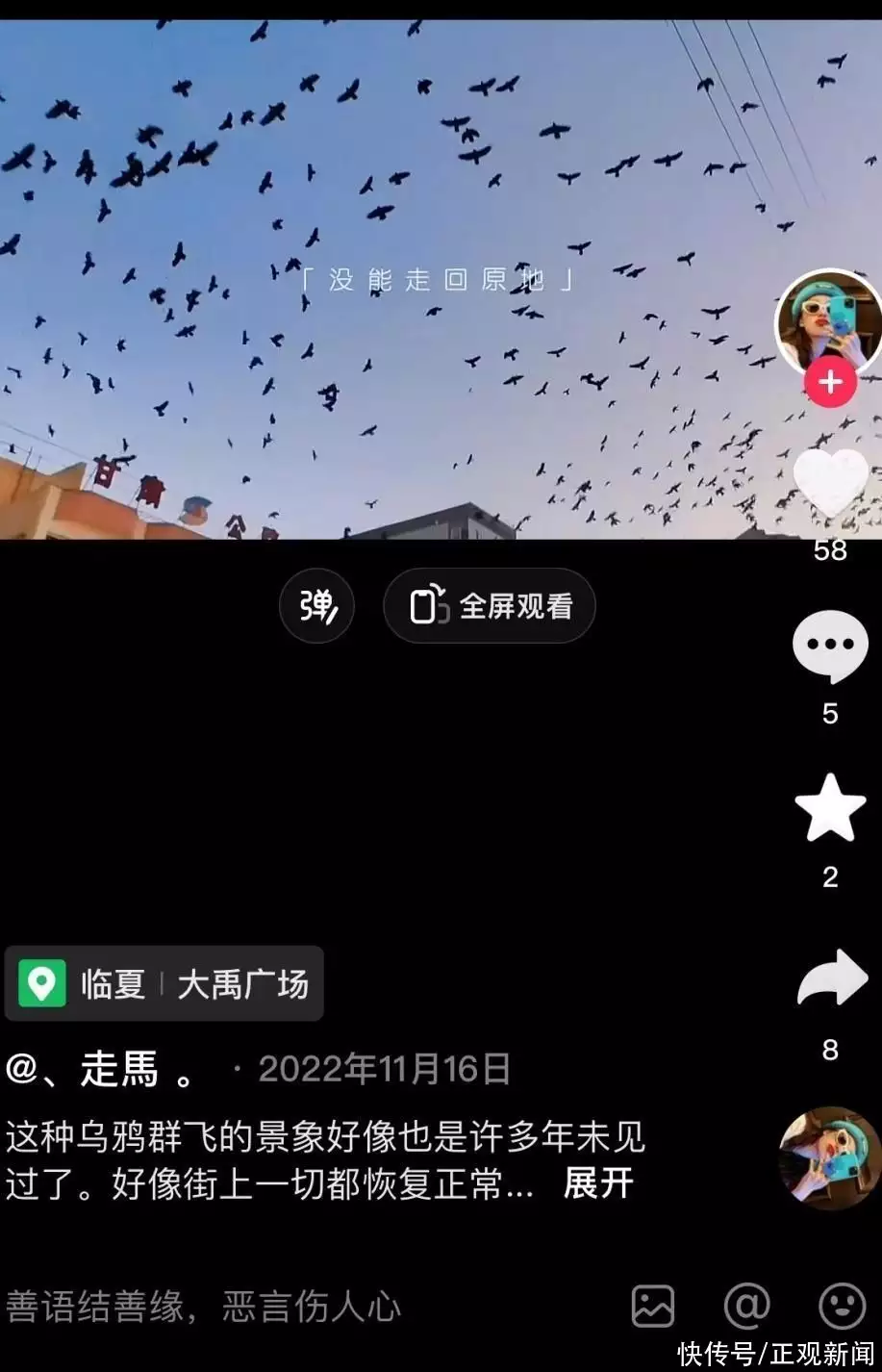 鸟群盘旋是地震前兆？多地辟谣（鸟群聚集是地震预兆吗） 第2张