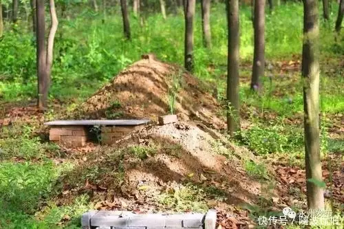 己亥杂诗龚自珍赏析（己亥杂诗龚自珍九州生气恃风雷万马齐喑究可哀） 第3张