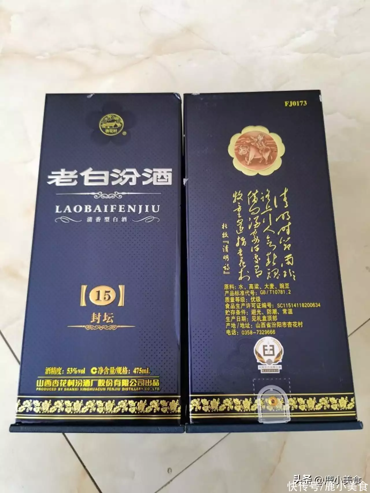 常青树有哪些（常青树有哪些品种名称图片） 第10张