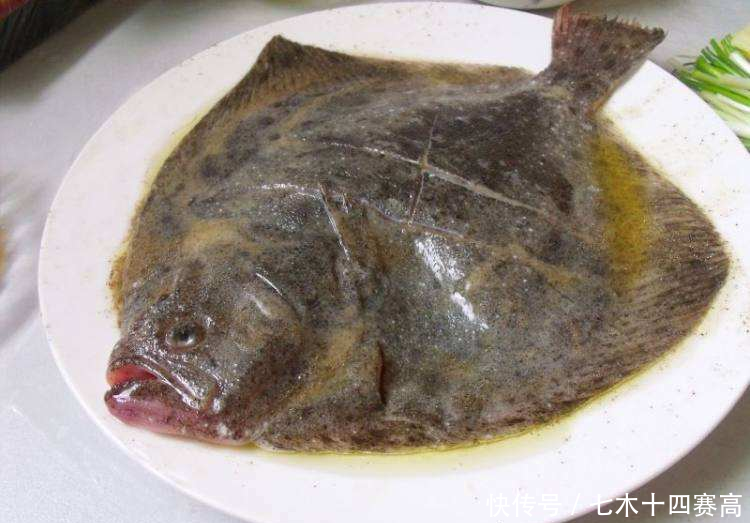 FLUKE fish多宝鱼／比目鱼_【快资讯】