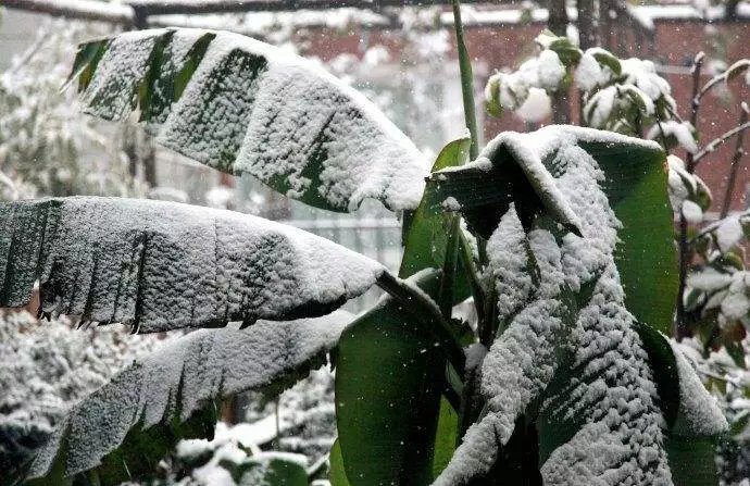 万万没想到（燕山雪花大如席）燕山雪花大如席,纷纷吹落轩辕台 第3张