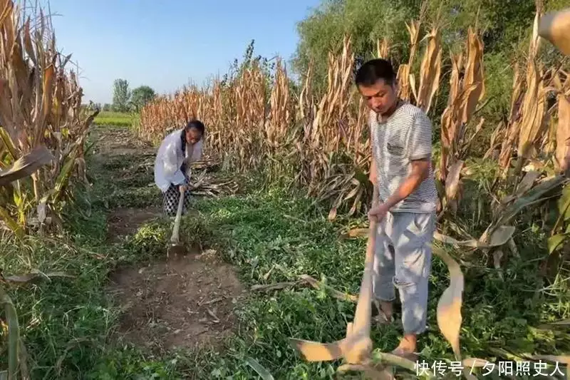 没想到（骗家里人说怀孕了要检查）骗家人怀孕了怎么收场 第4张