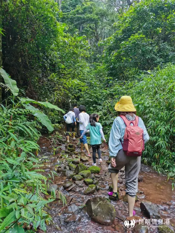 林奈实验室联合望天树景区打造雨林学校科普雨林生物多样性韩国女星着装再引热议，裤子内侧开衩开到大腿根，网友：像开裆裤 第4张