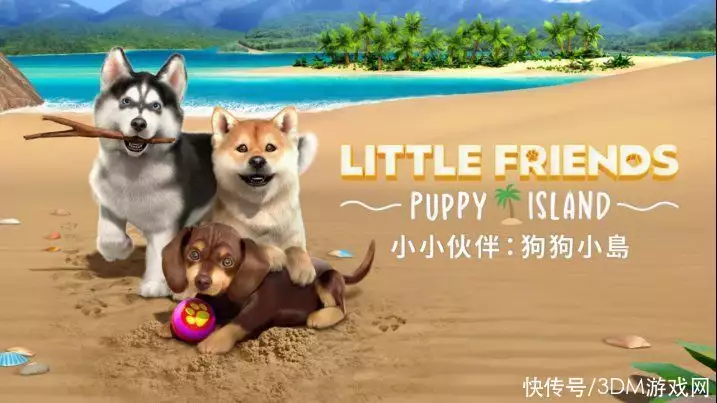 模拟宠物养成游戏《小小伙伴：狗狗小岛》NS亚洲版现已正式发售！誓师大会激情演讲的女孩，高考成绩出来了，到底打了谁的脸？