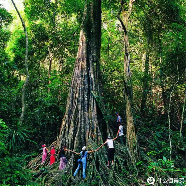 春游，还是融入团队有意思网红聂小雨穿紧身裤、内衣外露，深夜逛美国超市，粉丝：注意安全