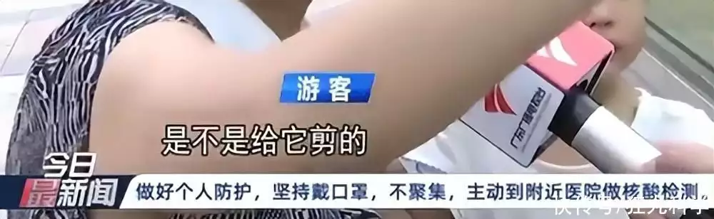 僵尸鲨鱼（僵尸鲨鱼画法） 第21张