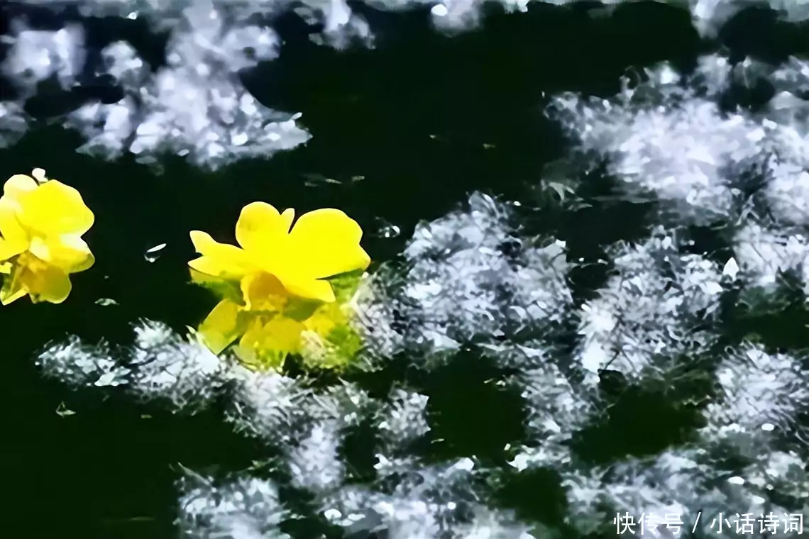 居然可以这样（苏轼江城子密州出猎）苏轼的江城子,密州出猎 第15张