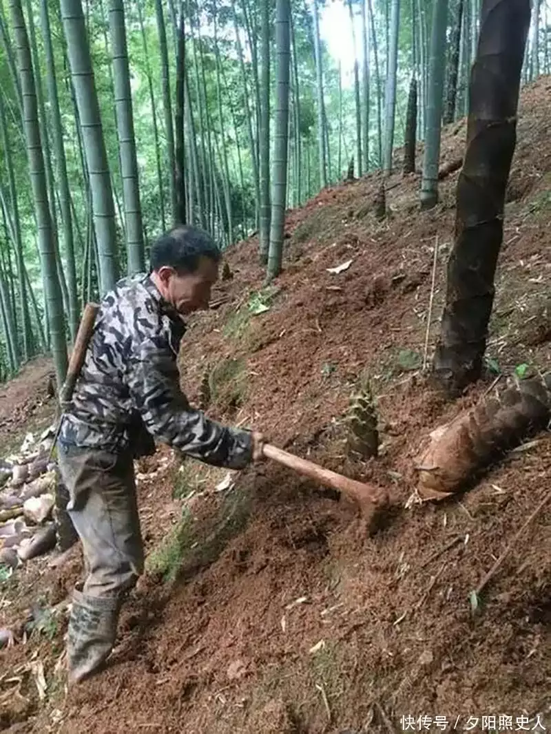 没想到（骗家里人说怀孕了要检查）骗家人怀孕了怎么收场 第19张