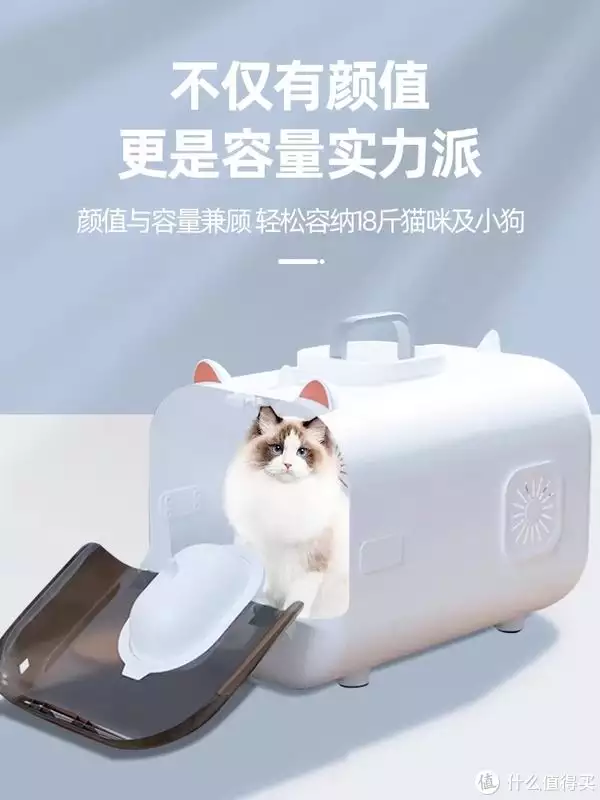 宠物智能托运箱——猫咪的旅行专仓韩剧抄袭越来越嚣张，民国剧也不放过，网友不满：偷上瘾了？
